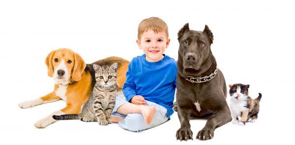 Reno Pets