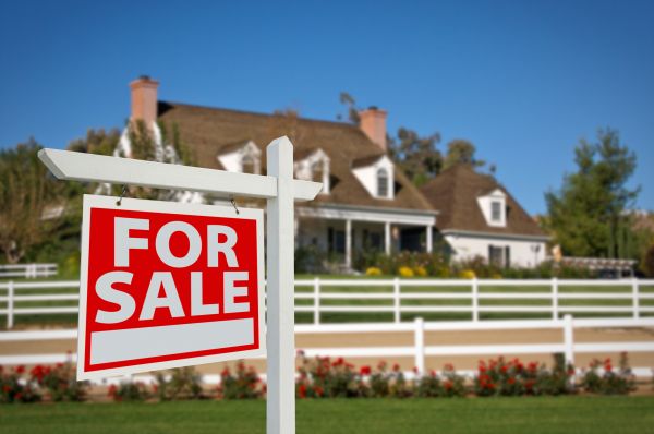 Reno Real Estate