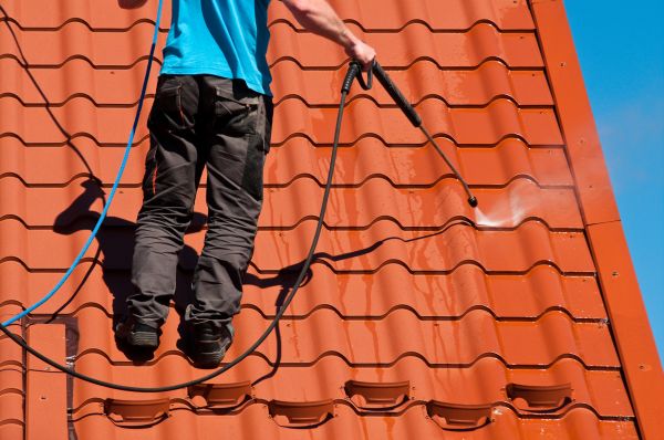Reno Roof Cleaning